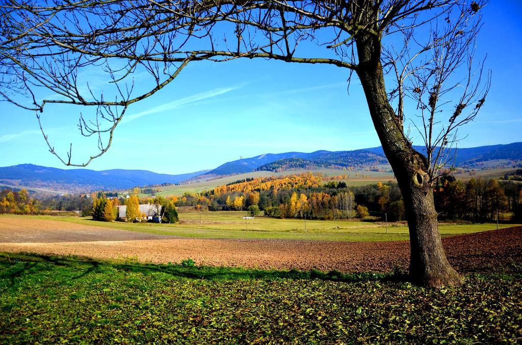 Penzion Na Cervenem Potoce Kraliky Luaran gambar