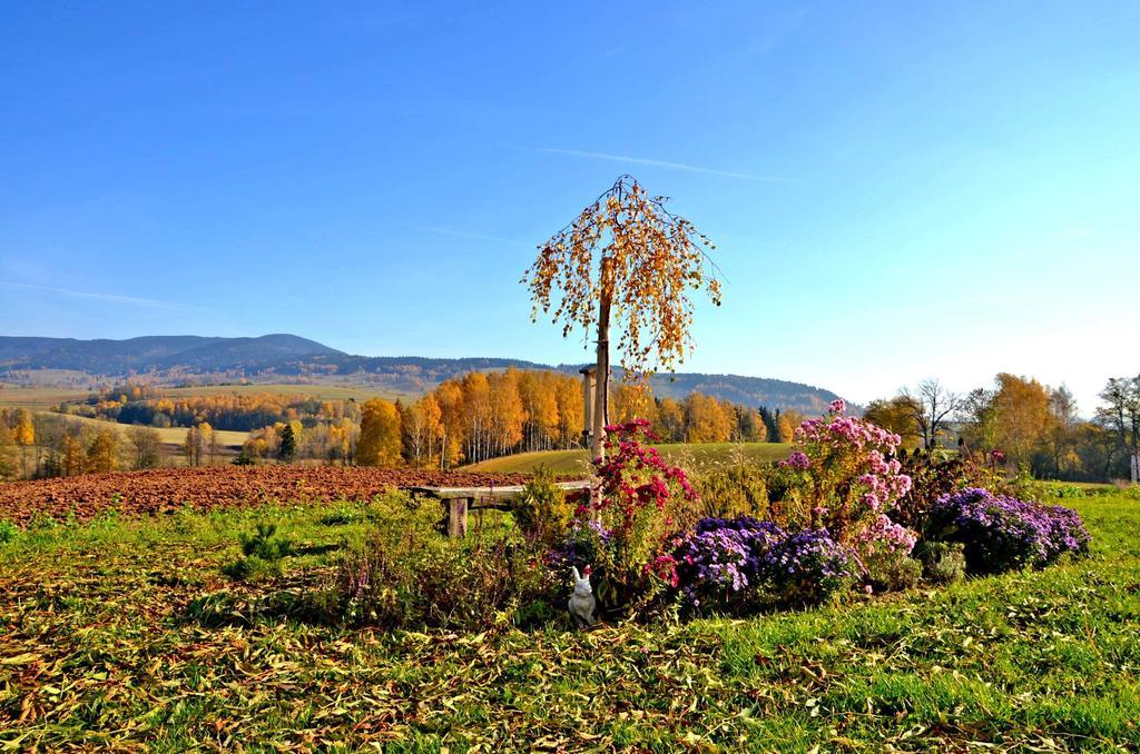 Penzion Na Cervenem Potoce Hotel Kraliky Luaran gambar