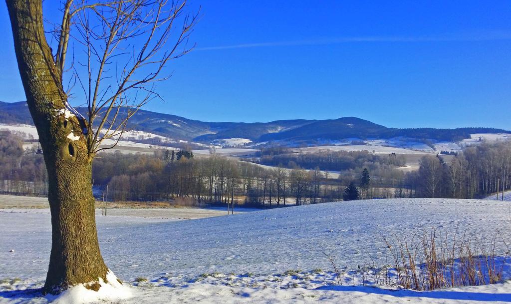 Penzion Na Cervenem Potoce Hotel Kraliky Luaran gambar